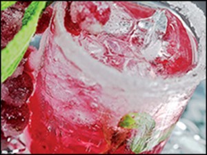 bartscher ice tube maker | WCCC