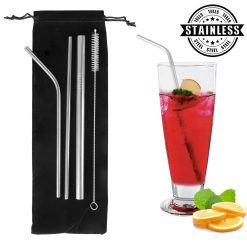 Lifestyle Stainless Steel Straw Set of 5