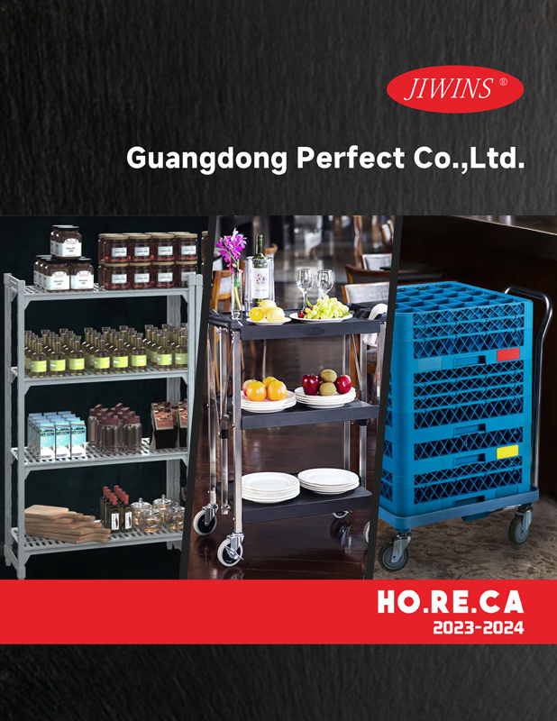 Catalog Download World Class Concepts Corp. (WCCC)